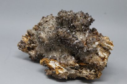 null Calcite: bed of brown scaléboèdres with clear ends (1982)

Monteponi mine, Sardinia,...