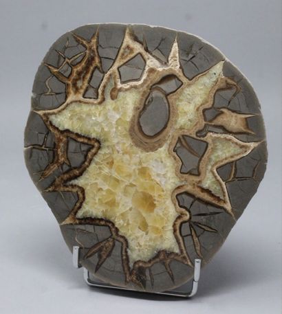 null Septaria brown and black body, light yellow calcite in branched star (1997)

Utah,...