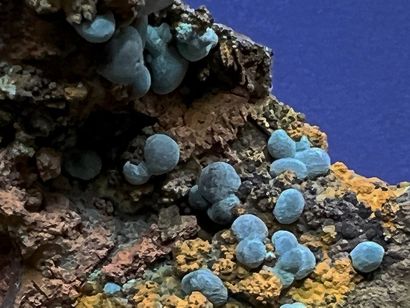 null Belle rosacite : sphérules 5 mm, bleu pâle à foncé, isolées sur gangue 

Mine...