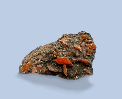 null Wulfenite: tablets on gangue (up to 12 x 8 x 2 mm), specific orange-red color

specific,...