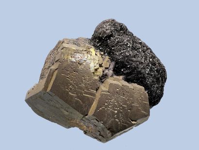 Hematite, Pyrite: bright dodecahedra on hematite...