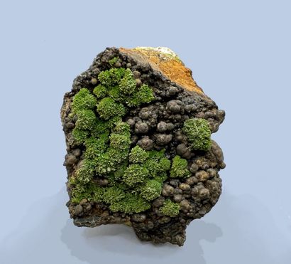 null Pyromorphite, hematite: green flattened radiated tufts on brown mamelonned hematite...