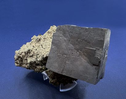 null Galena: shiny well formed cube (6 cm) on gangue, crystallized pyrite 

Joplin,...