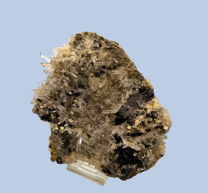 null Marmatite : sphalérite noire, cubes de pyrite, aiguilles de quartz hyalin (1982)

Trepça,...