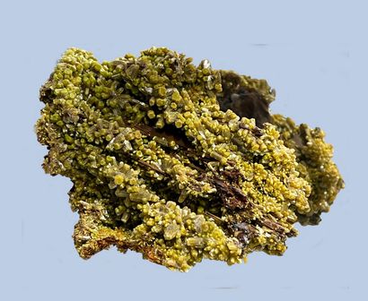 null Pyromorphite: totally crystallized, small green-brown hexagonal barrels with...