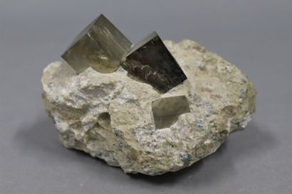 null Pyrite : crystals 5 mm on slate plate 

Quarry of Lourdes, St Créac (1973) 

Dimensions...