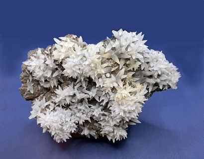 null Calcite : magnifiques gerbes de scalénoèdres blanc bleutés nacrés (2 cm) sur...