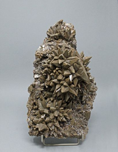 Iron calcite: brown pig's teeth (5 sides,...