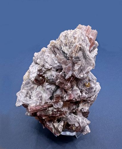 null Tourmaline, var. rubellite, lepidolite, microlite, quartz. Rubellite with two

generations...
