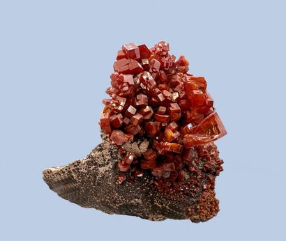 null Vanadinite: red crystals, cavernous forms up to 20 mm (1996)

Mibladen, Morocco...