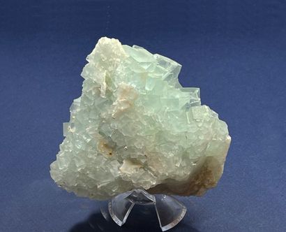 null Pale green fluorite: aggregate translucent cubes 15 mm (ex Sainfeld, 1976) 

Le...