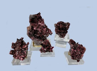 null Erythrite : lot of 5 exceptional pieces, tablets up to 20 mm purple 

purple,...