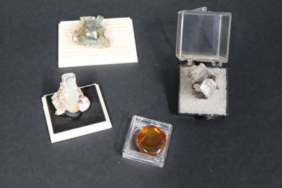 null Ambre : petit morceau avec inclusions de fougère fossilisée (1984, dans boite)...