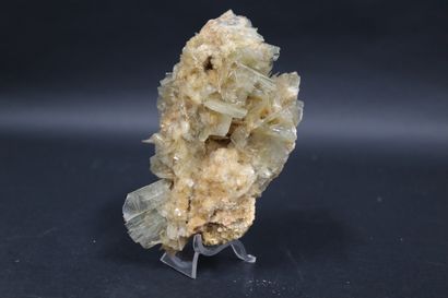 null Baryte "wings of angel" : thin tablets (4 cm) very fragile, grey green 

Sardinia,...