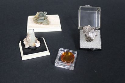 null Ambre : petit morceau avec inclusions de fougère fossilisée (1984, dans boite)...