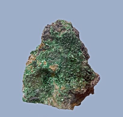 null Torbernite: beautiful bed of emerald green tablets (5mm) and 

brilliant 

Musonoi,...