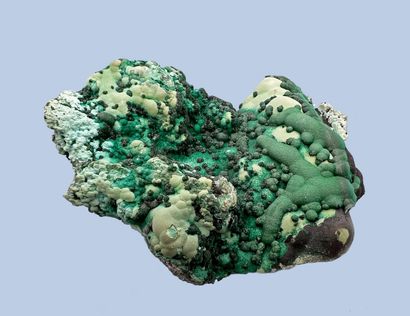 null Beautiful association malachite, chrysocolla: malachite in crystallized nodules

dark...