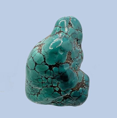null Turquoise: shiny pebble with a nice blue-green color (1995)

Torrent Arizona,...