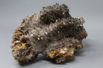 null Calcite: bed of brown scaléboèdres with clear ends (1982)

Monteponi mine, Sardinia,...