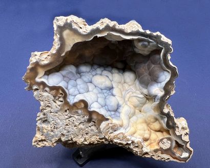 null Chalcedony : blue to cream mamelinated geode, in a fossilized coral 

Tampa...