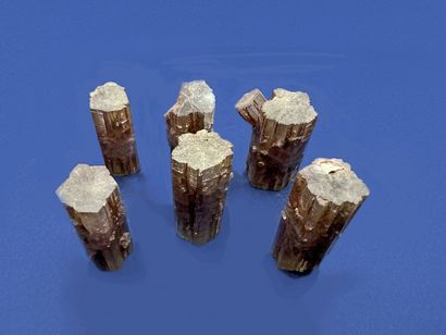 null Aragonite: batch of six free hexagonal red-brown crystals 

Spain (1973) 

Dimensions:...