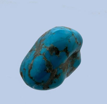 null Turquoise bleue, pyrite : galet totalement recouvert de turquoise couleur bleu...