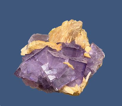 null Fluorite: purple perfect cubes (4 cm), cream crested baryte (1986) 

Berbes,...