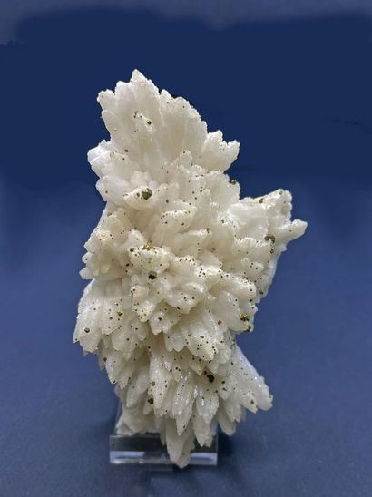 null Very elegant manganocalcite, chalcopyrite: white dogtooth Mn-calcite sprays...