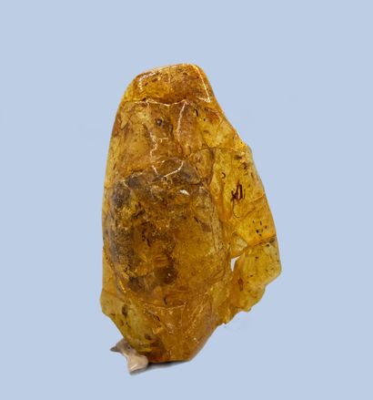 null Amber: very beautiful transparent and shiny piece, with fossil inclusions 

Baltic...