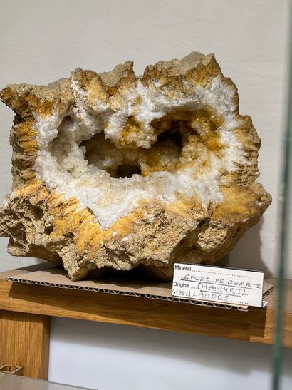 null 
Quartz: geode with chalcedony 




Hauriet, Landes (1971) 




Dimensions :...