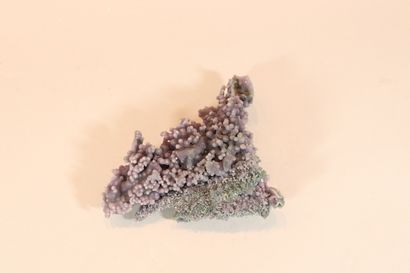 null Calcédoine violette grappe. 
Indonésie. 
Sur socle. 
Hauteur : env. 21 cm.