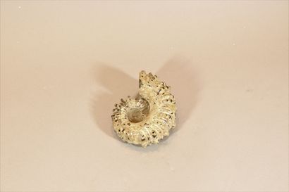 null Ammonite douvilleiceras. 

Albiens, Madagascar, Magenga. 

Diam. : env. 14 ...