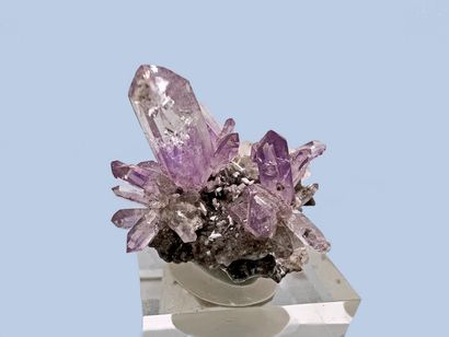 null Amethyst quartz: Pretty little sheaf (2002) 

Vera Cruz, Mexico 

Size: 5 c...