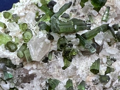 null Green tourmaline, shorl, quartz, mica : exceptional parterre of prisms 

(bi)finished...