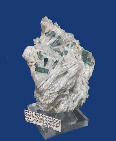 null Tourmaline var. indicolite, cleavelandite: clear blue hexagonal prisms 

in...