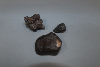
Lot of three meteorites




Sahara, Algeria-Morocco.



Weight...