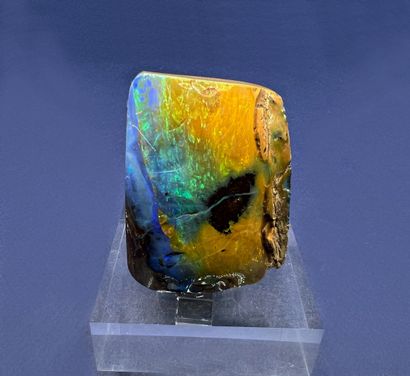 null Precious opal: magnificent pebble totally opalized dark blue to light, green,...