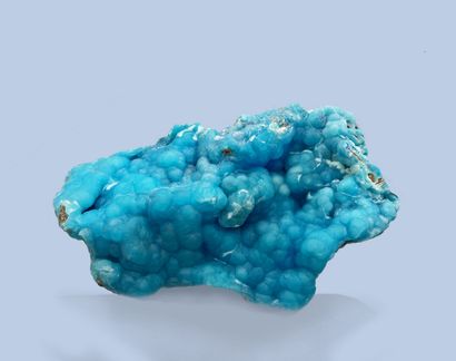 null Hemimorphite : beautiful bright blue and brilliant mamelinated piece 

Wenshan...