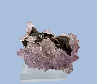 null Amethyst quartz, mica: elegant crystallization corroded clear and bright enclosing...