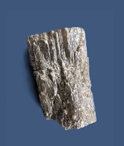 null 
Aragonite : cristal hexagonal gris 



Espagne



Dimensions : 7 cm
