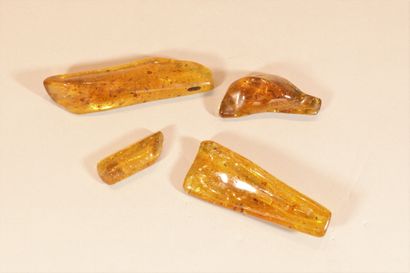 null Four pieces of amber for insects (Coleoptera, ants...)

Madagascar

Dimensions:

-...