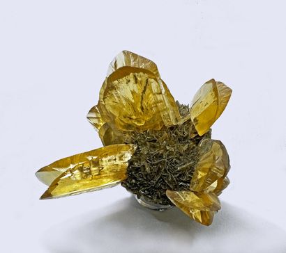null Gypse jaune : belle gerbe de grands cristaux gemmes jaunes 

Winnipeg, Canada...