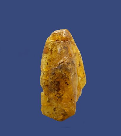 null Amber: very beautiful transparent and shiny piece, with fossil inclusions 

Baltic...