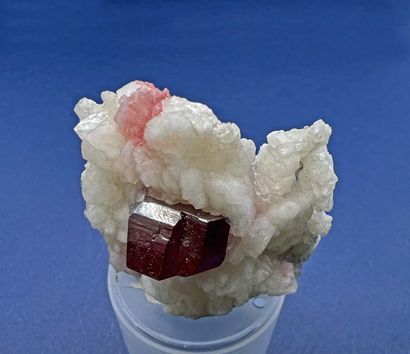  Cinabre, calcite : beau cristal prismatique bien formé rouge vif (2 cm) isolé sur...