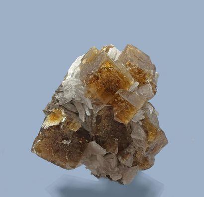  Fluorite cubique ambrée, celestine : exceptionnelle association de gros cubes 
ambrés,...