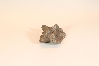 null Meteorite campo del cielo (shaped like a dinosaur head)

Argentina.

Weight:...