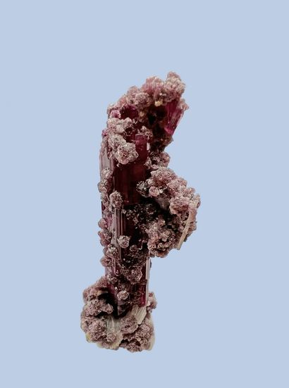 null 
Très belle tourmaline var. rubellite, lépidolite, cleavelandite : magnifique...