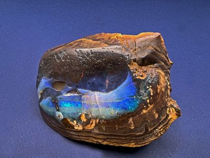 Precious opal: pebble with fire-red opal...