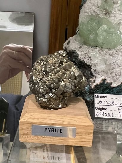 null Petite pyrite sur socle bois 

Pérou 

Dimensions : 6 cm