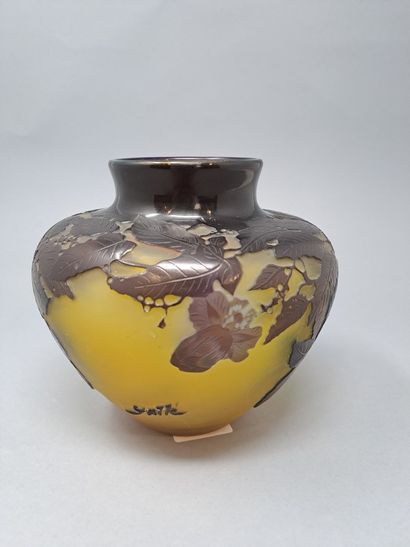 null GALLE (In the taste of)

Vase ball out of moulded glass with yellow bottom and...